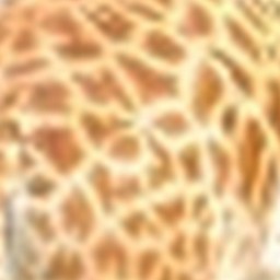 Peau de girafe